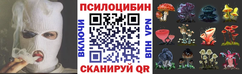 Псилоцибиновые грибы прущие грибы  Купить где  Афипский 